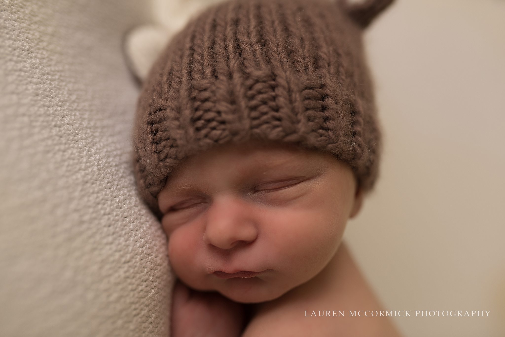 frederick newborn photographery