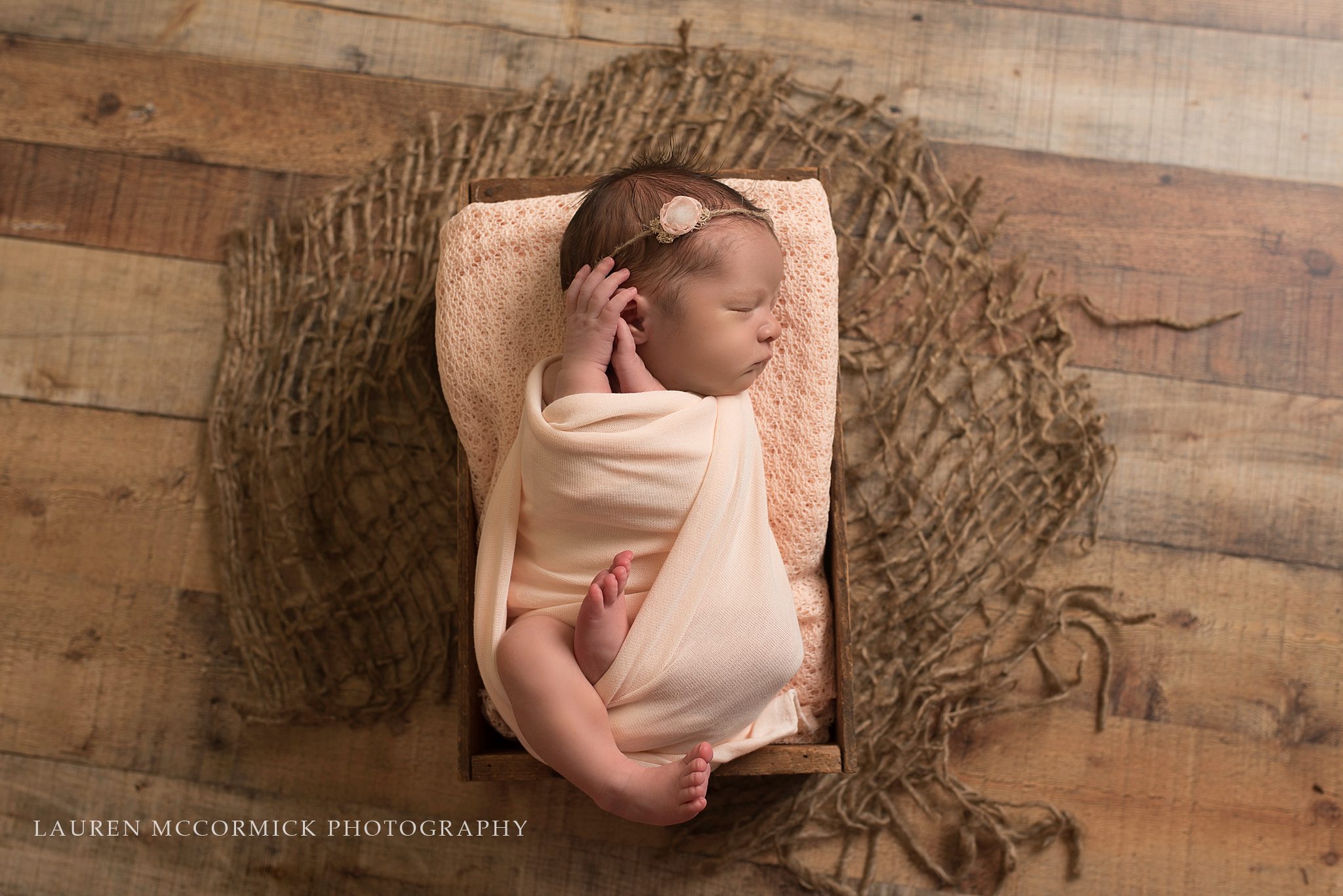frederick newborn photographer