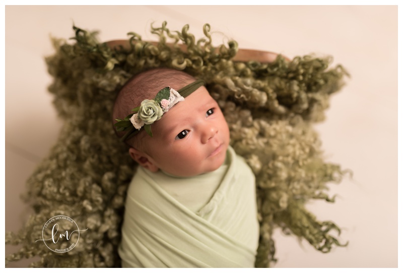 washington dc maryland frederick maternity newborn photographer