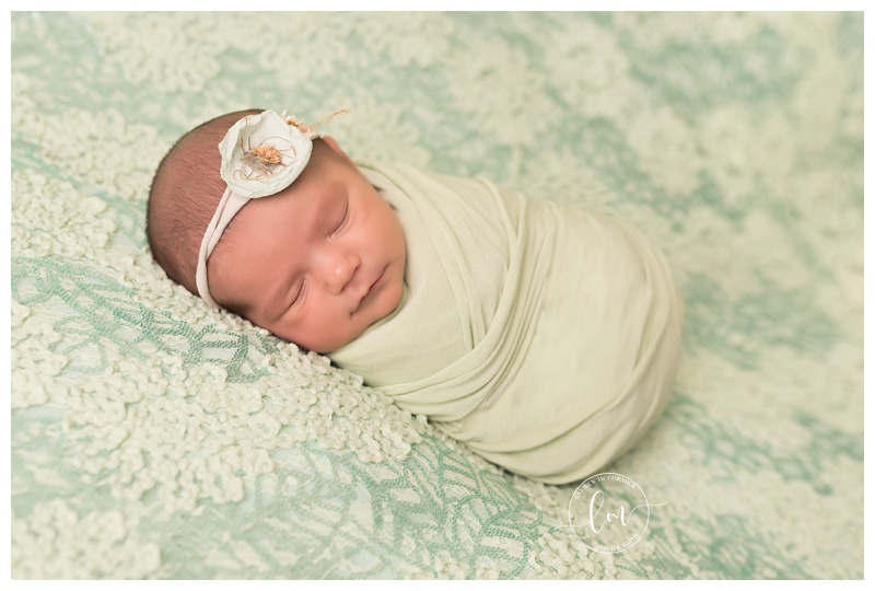washington dc maryland frederick maternity newborn photographer