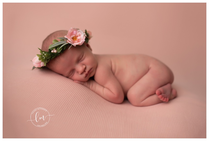 Washington DC newborn photographer washington dc maternity photographer maryland newborn photographer maryland maternity photographer